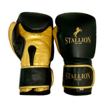 Stallion Boxing Gloves For Children - Lace & Non-Lace