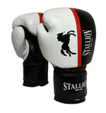 Stallion Boxing Gloves For Children - Lace & Non-Lace