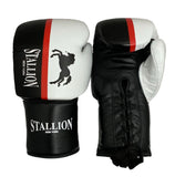 Stallion Boxing Gloves For Children - Lace & Non-Lace